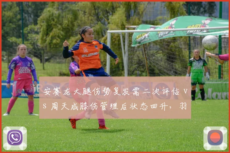 安赛龙大腿伤势复发需二次评估 vs 周天成膝伤管理后状态回升，羽坛男单老将伤病应对策略对比